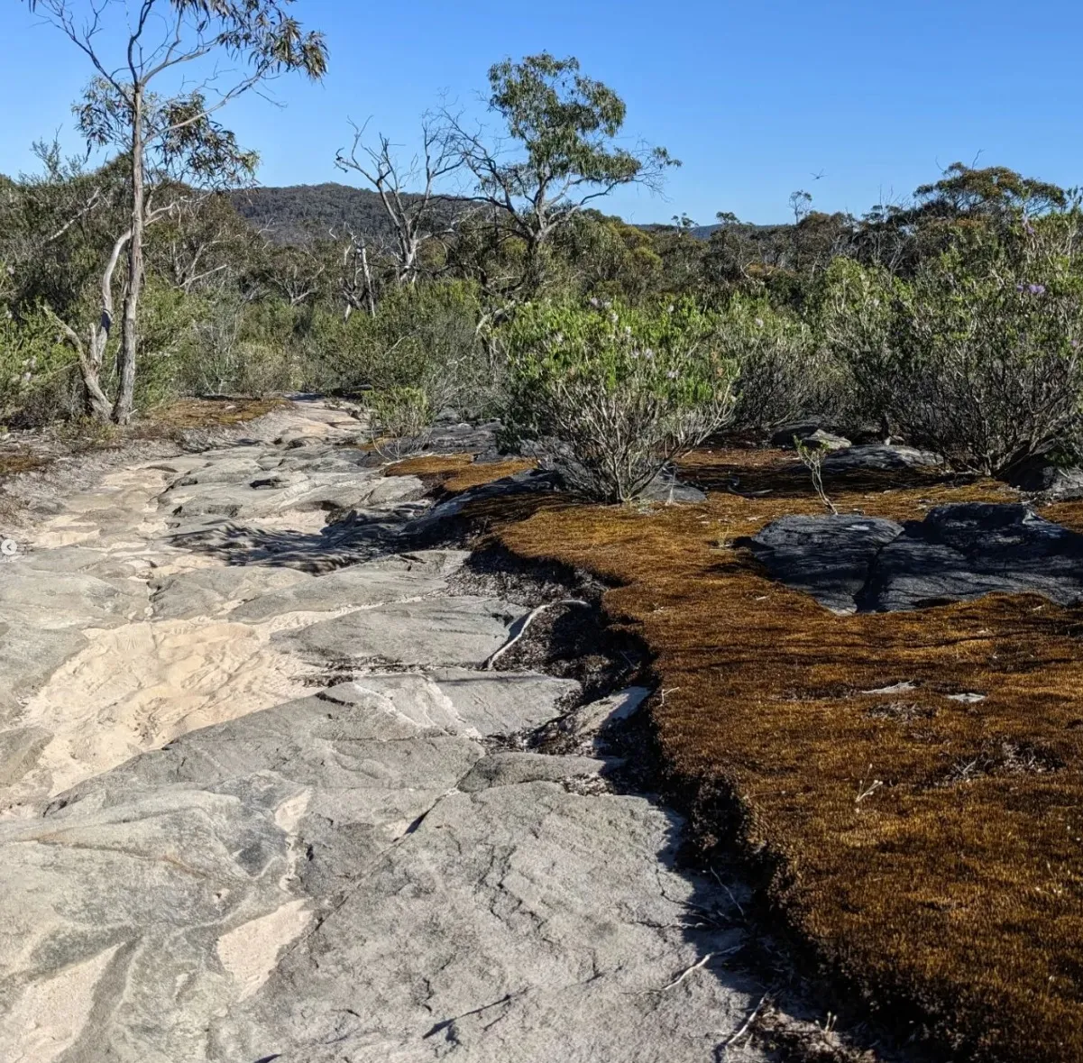 Discovering Hidden Caves and Rock Formations in the Grampians