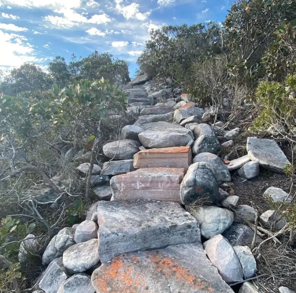 Signal Peak