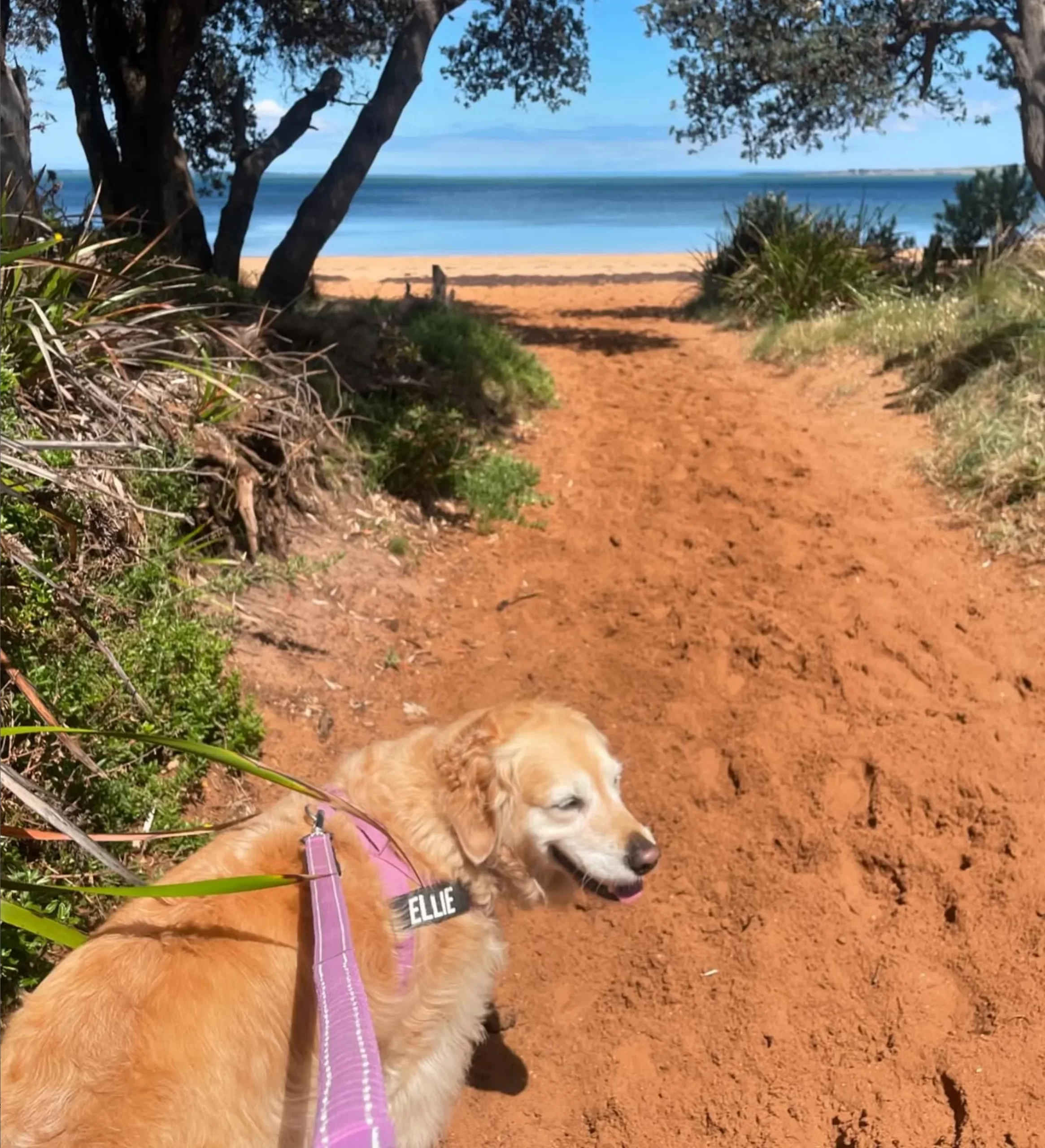 Bass Coast Rail Trail