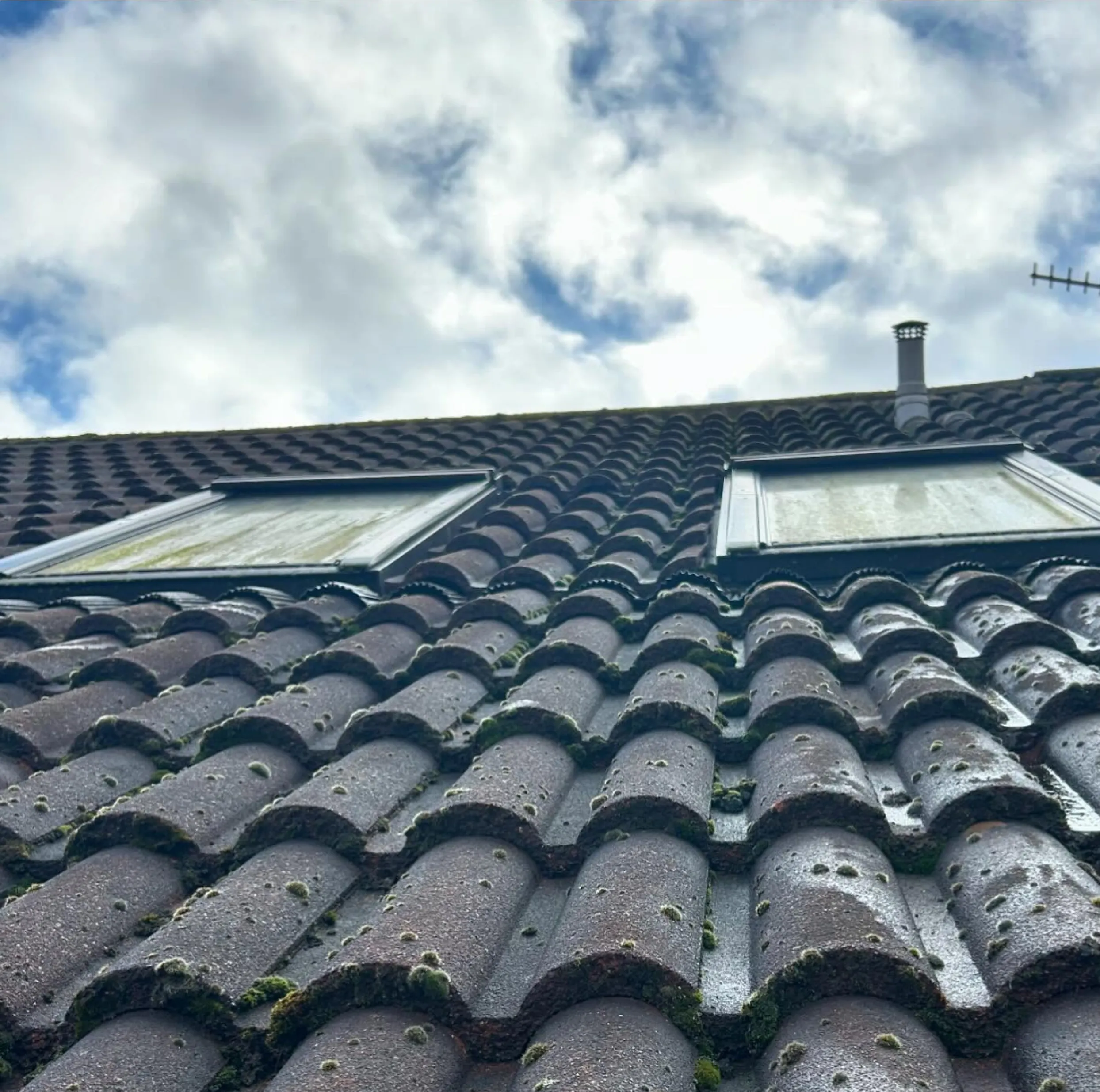 How Often Should a Roof Be Cleaned? Expert Guide